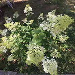 La Romance Et La Romanesque 3*