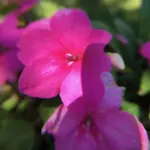 La Romance Et La Romanesque Bed & Breakfast 3*