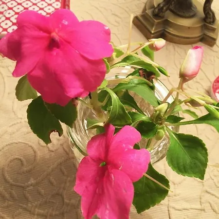 La Romance Et La Romanesque Bed and Breakfast Berville-sur-Mer