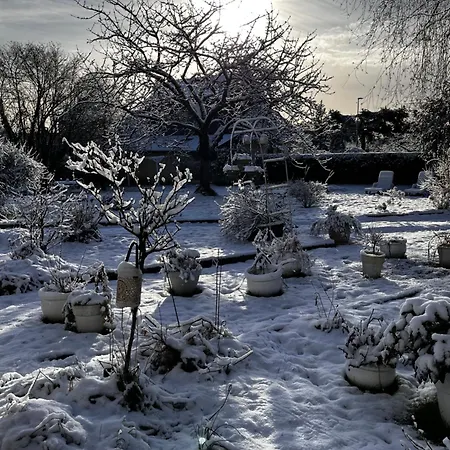 Couette-café La Romance Et La Romanesque