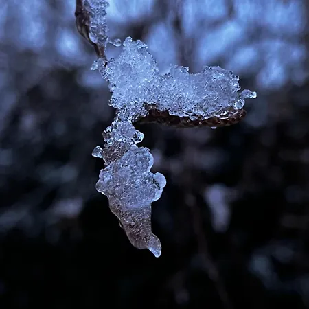 La Romance Et La Romanesque Couette-café