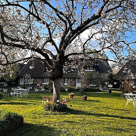 Bed & Breakfast La Romance Et La Romanesque Berville-sur-Mer