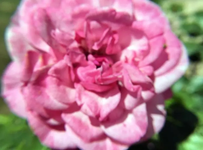 La Romance Et La Romanesque Bed & Breakfast