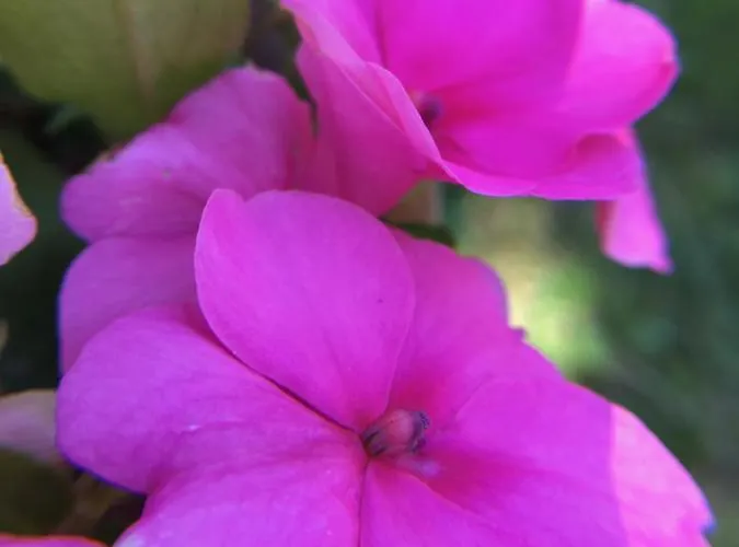 La Romance Et La Romanesque Bed & Breakfast