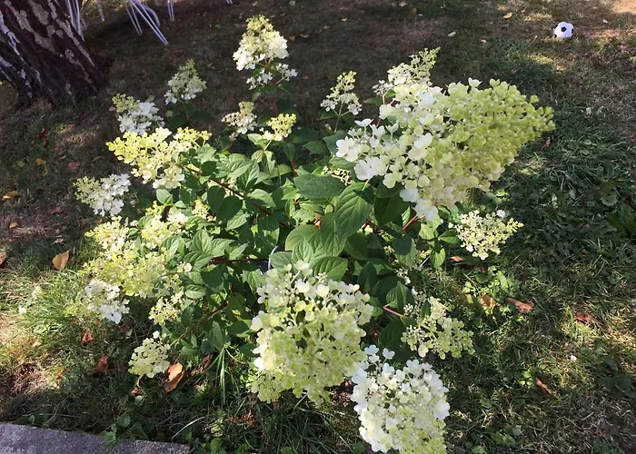 La Romance Et La Romanesque 3*