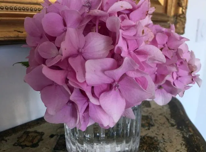 Bed & Breakfast La Romance Et La Romanesque