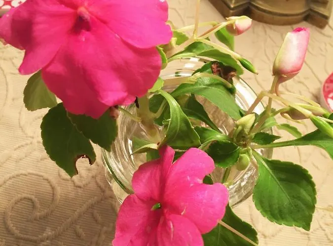 La Romance Et La Romanesque Bed & Breakfast Berville-sur-Mer