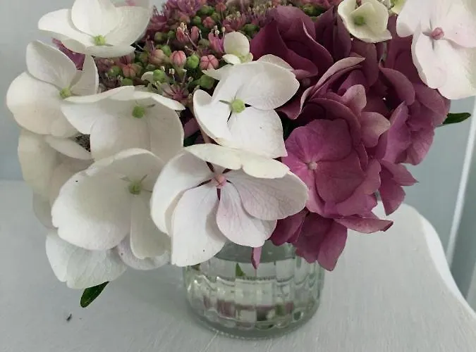 Bed & Breakfast La Romance Et La Romanesque 3*